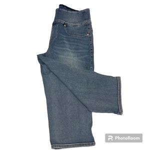 Seven7 Capri Jeans Size 6 Washed Blue Tummy Toner High Rise